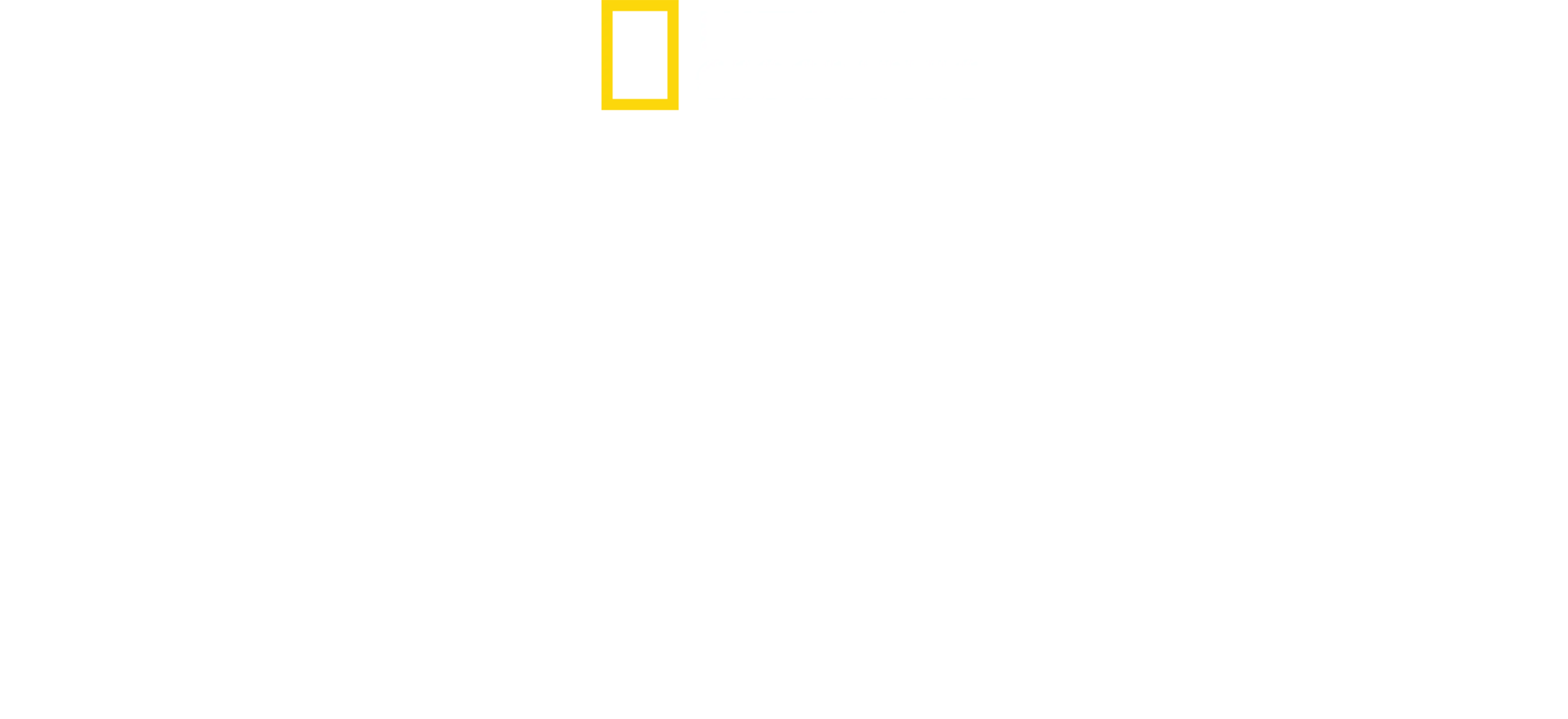 Dynastia Kimów - trzy pokolenia