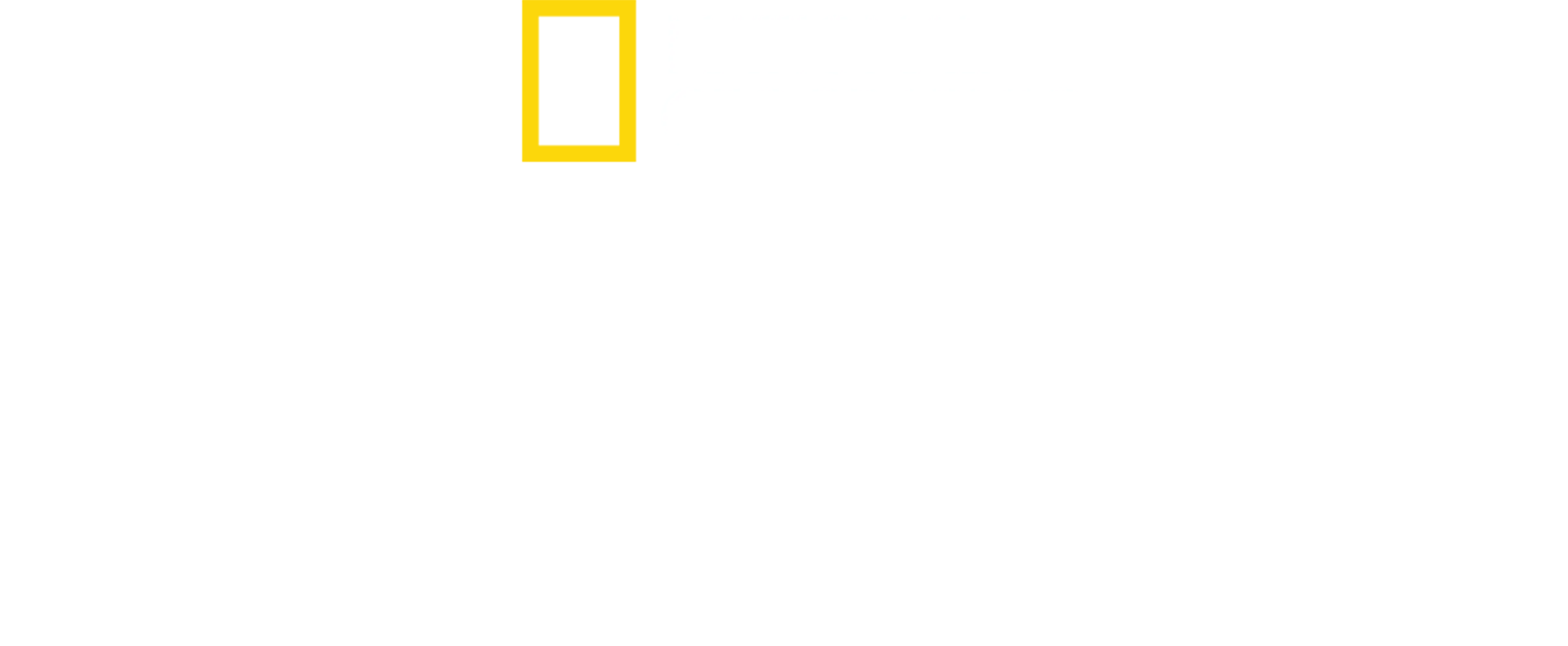 金氏王朝