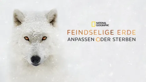 thumbnail - Feindselige Erde - Anpassen oder sterben