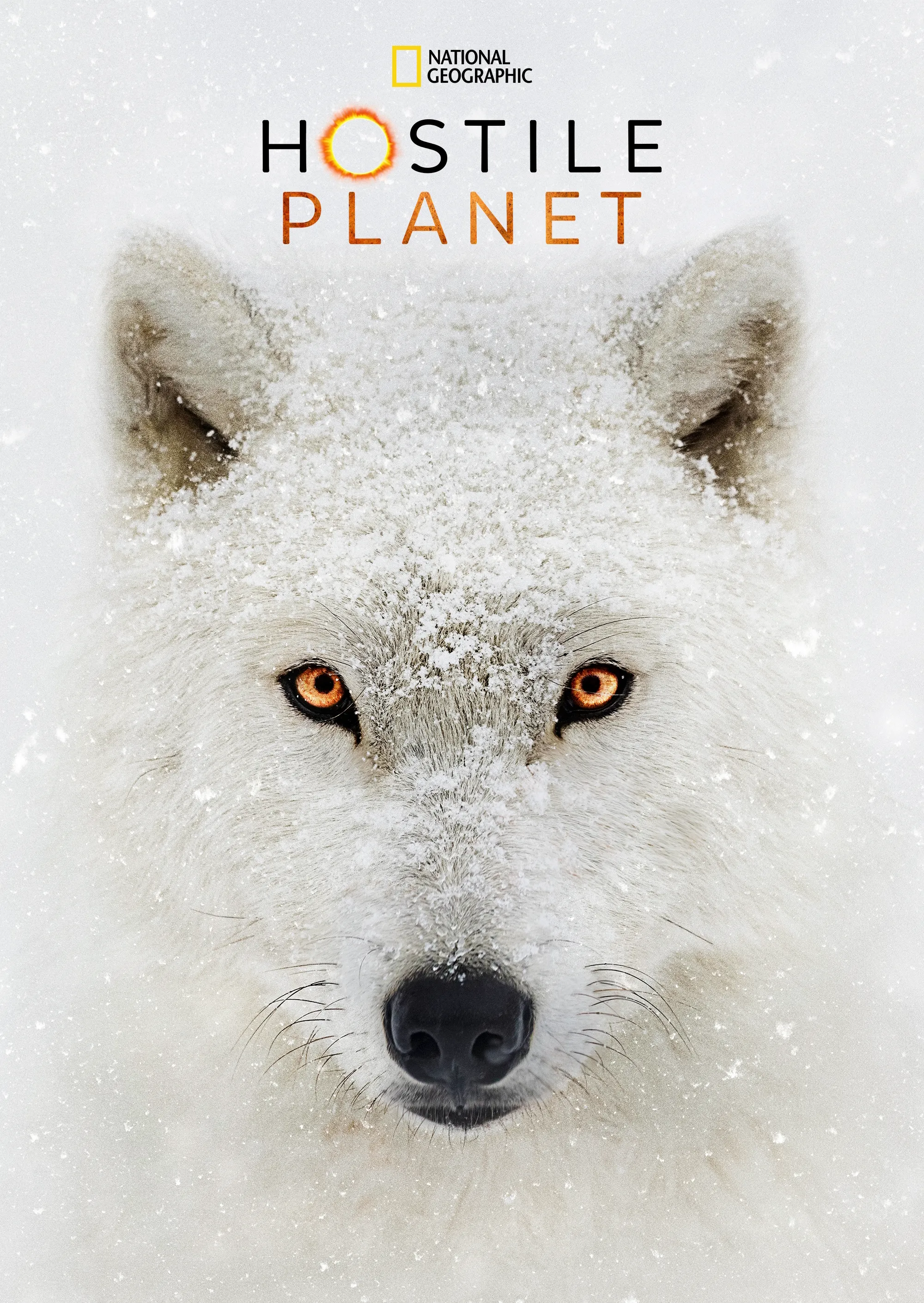 Hostile Planet