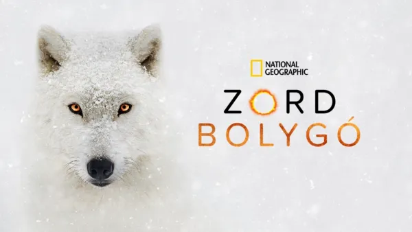 thumbnail - Zord bolygó