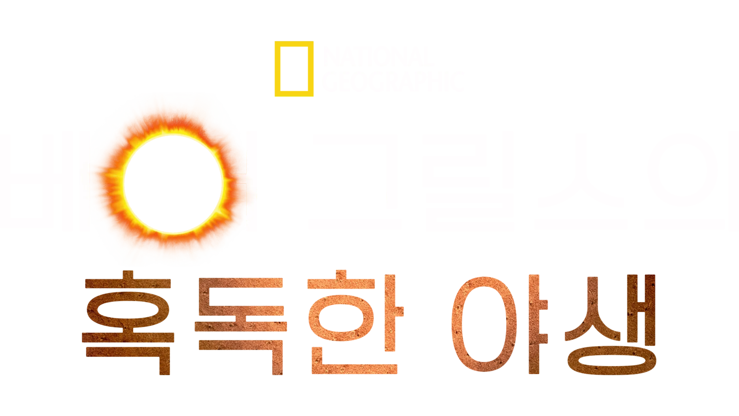 베어 그릴스의 혹독한 야생