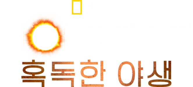 베어 그릴스의 혹독한 야생