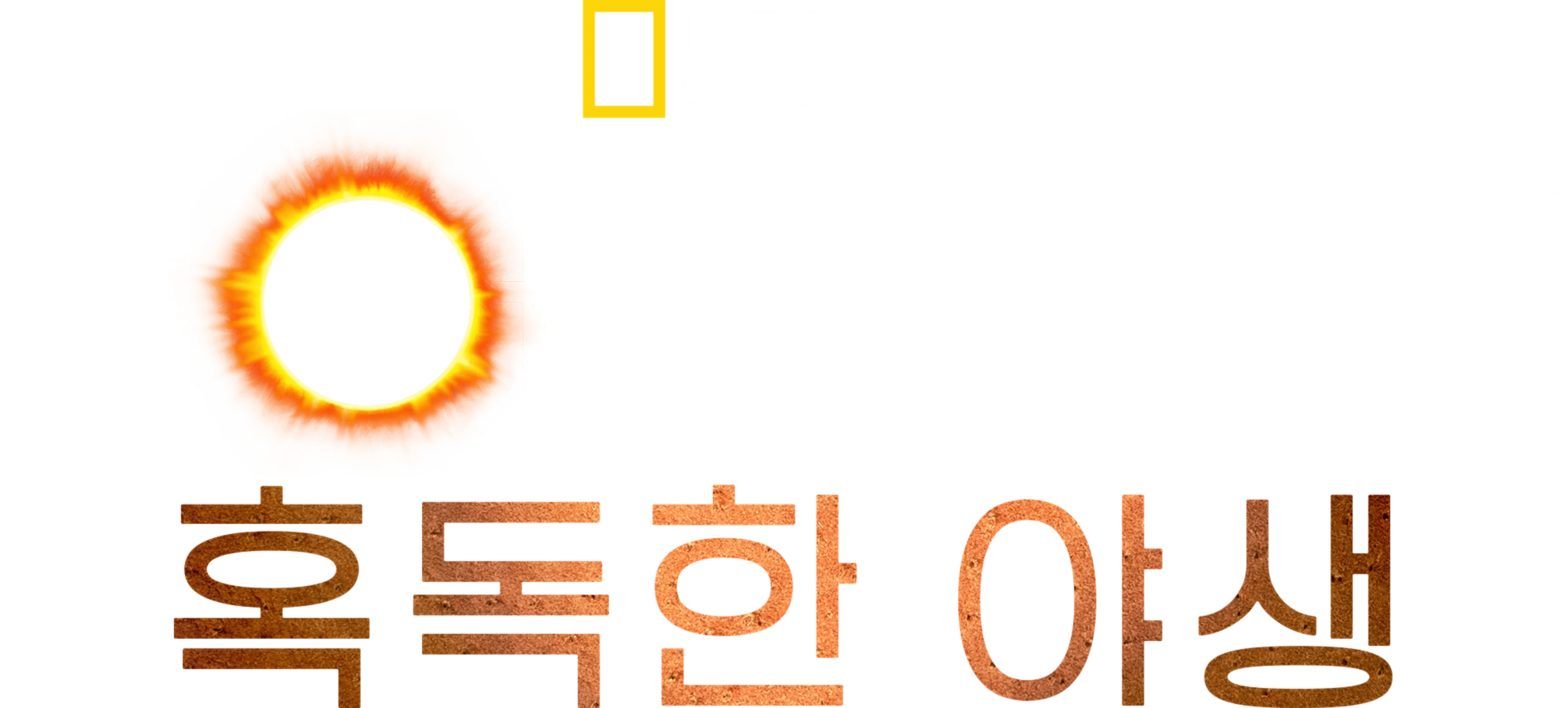 베어 그릴스의 혹독한 야생