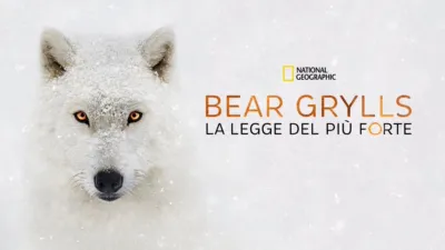 Bear Grylls: la legge del più forte