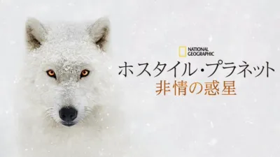 ホスタイル・プラネット 非情の惑星