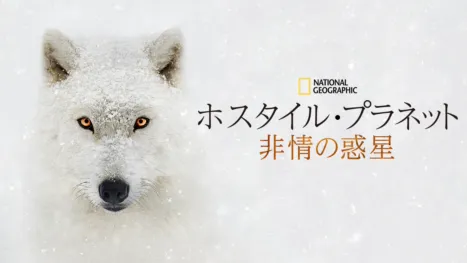 thumbnail - ホスタイル・プラネット 非情の惑星