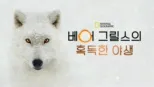 thumbnail - 베어 그릴스의 혹독한 야생