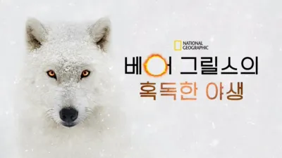 베어 그릴스의 혹독한 야생
