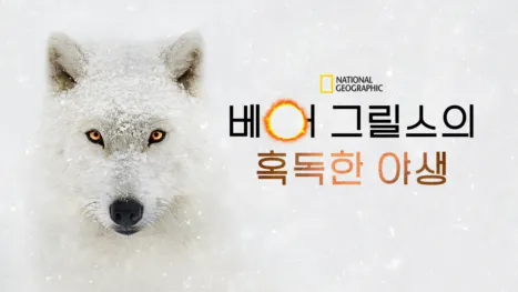 thumbnail - 베어 그릴스의 혹독한 야생