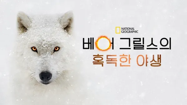 thumbnail - 베어 그릴스의 혹독한 야생