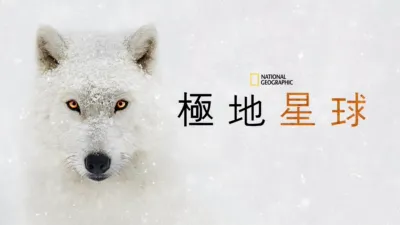 極地星球