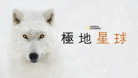 thumbnail - 極地星球