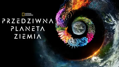 thumbnail - Przedziwna planeta Ziemia