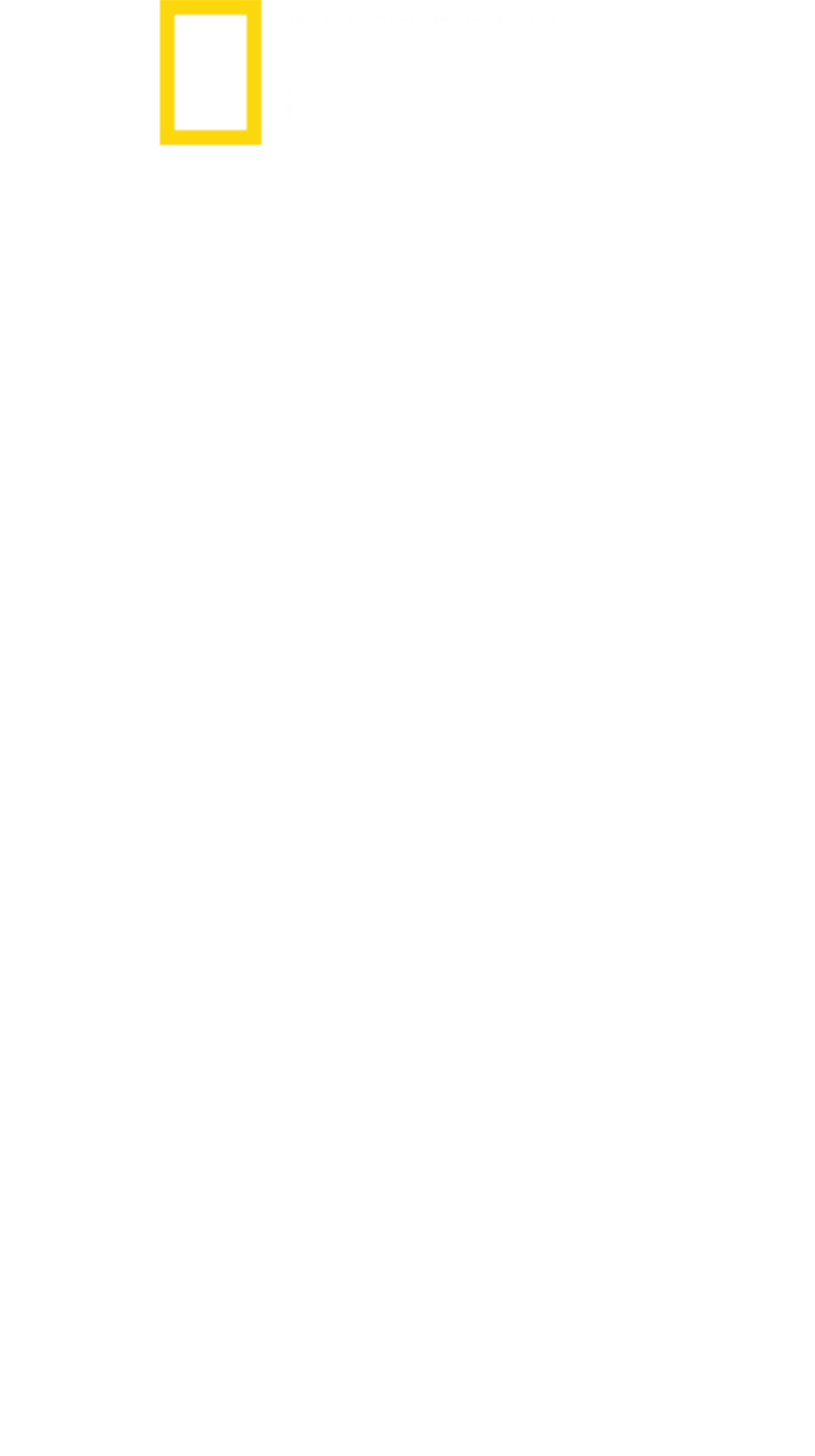 Sıra Dışı Bir Kaya