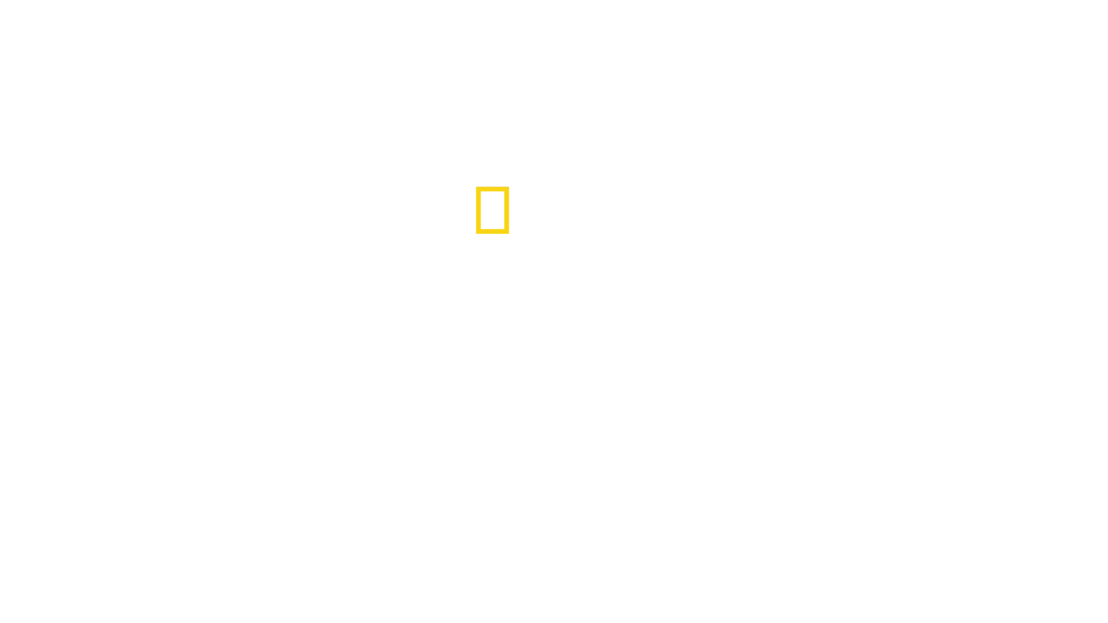 Žraloci v bahamské mořské oblasti Shark Eden