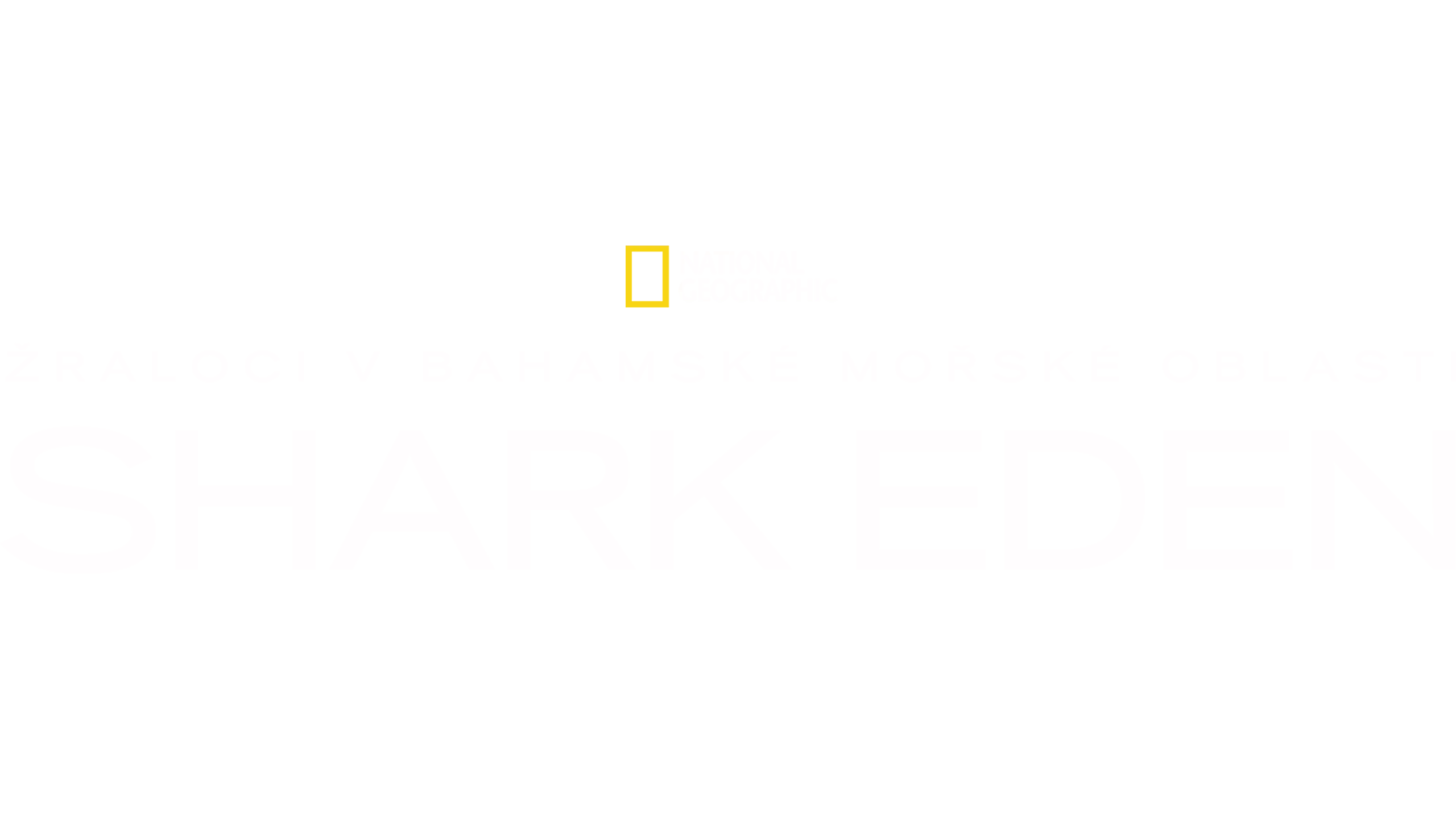 Žraloci v bahamské mořské oblasti Shark Eden