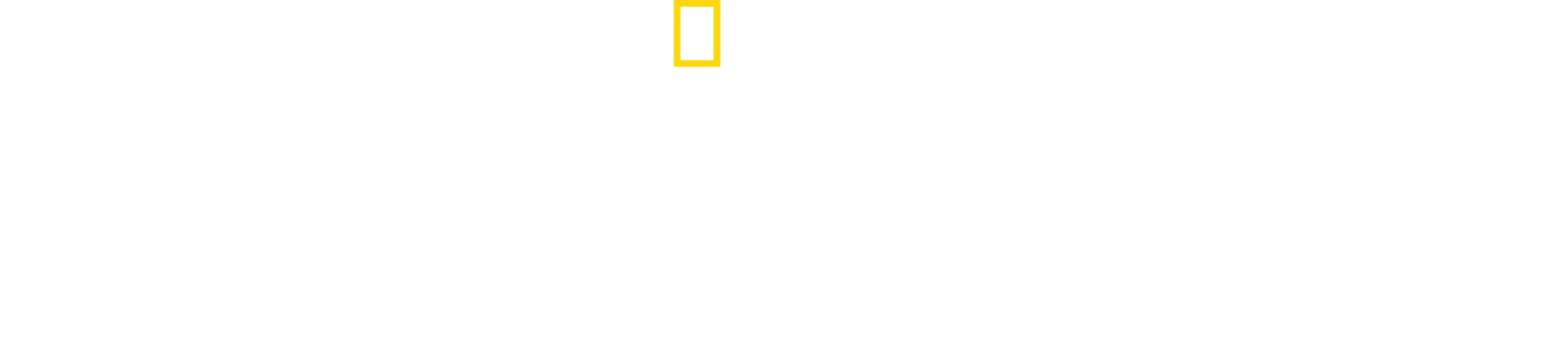 Žraloci v bahamské mořské oblasti Shark Eden