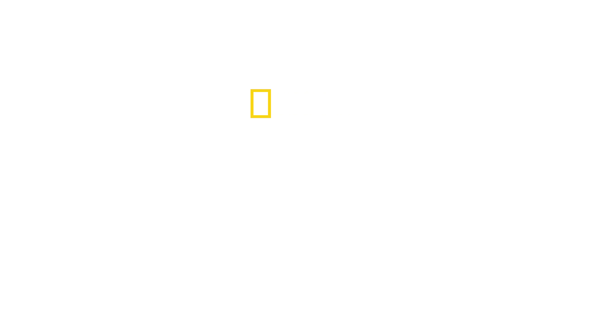 Das Paradies der Haie