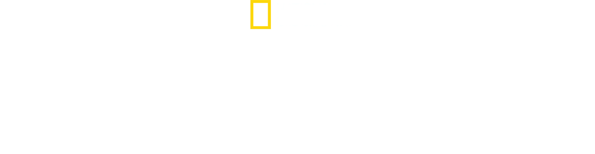 Das Paradies der Haie