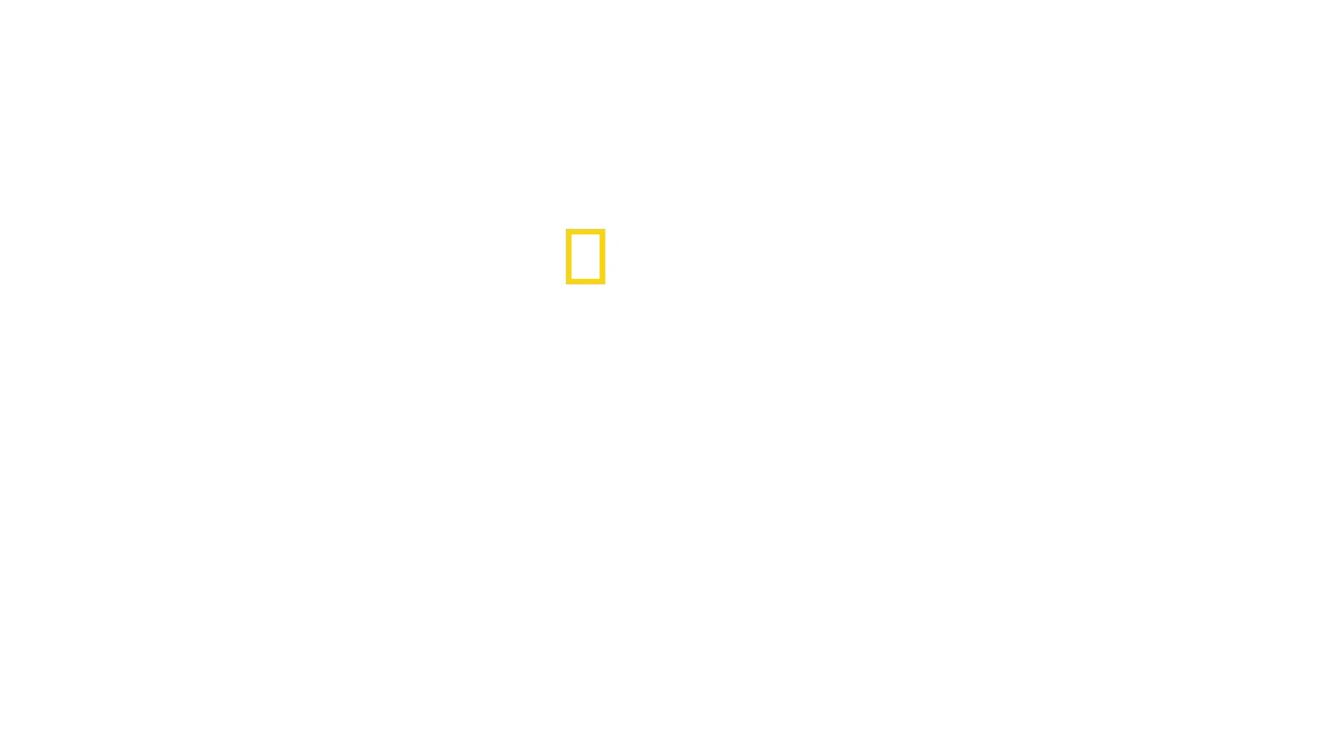 Journey To Shark Eden