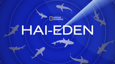 thumbnail - Journey To Shark Eden