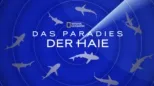 thumbnail - Das Paradies der Haie