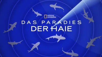 Das Paradies der Haie