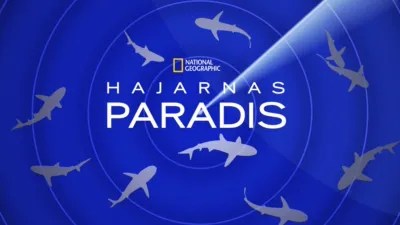 Hajarnas paradis