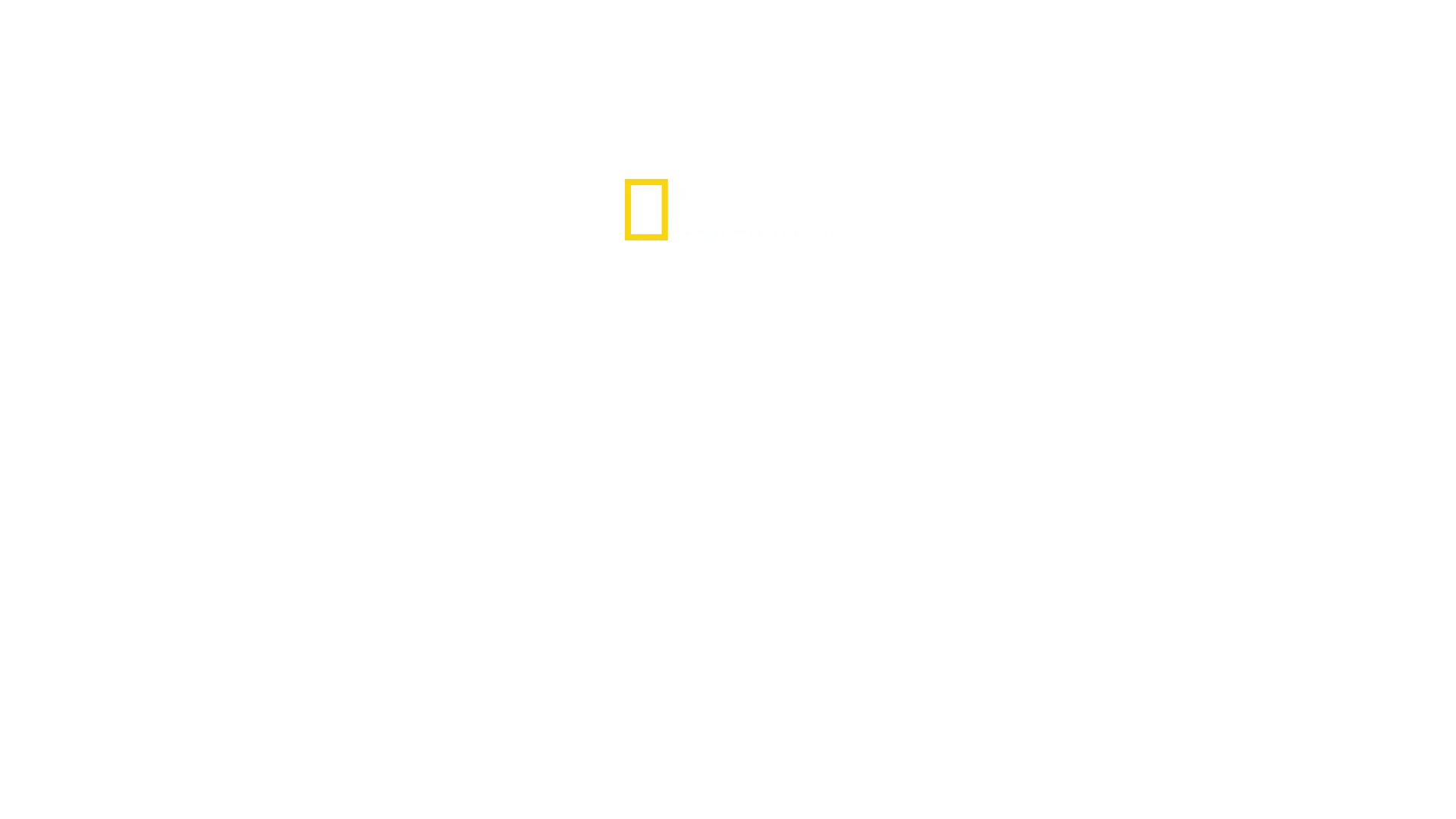Haiden paratiisi