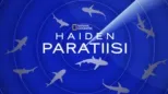 thumbnail - Haiden paratiisi