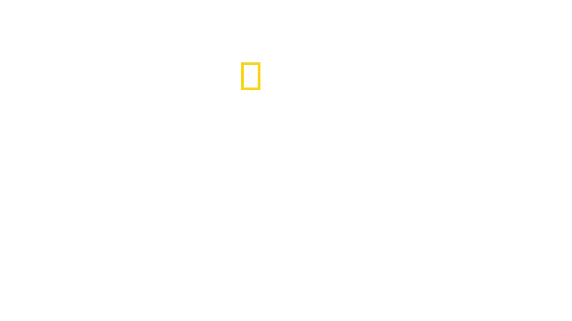 El edén del tiburón