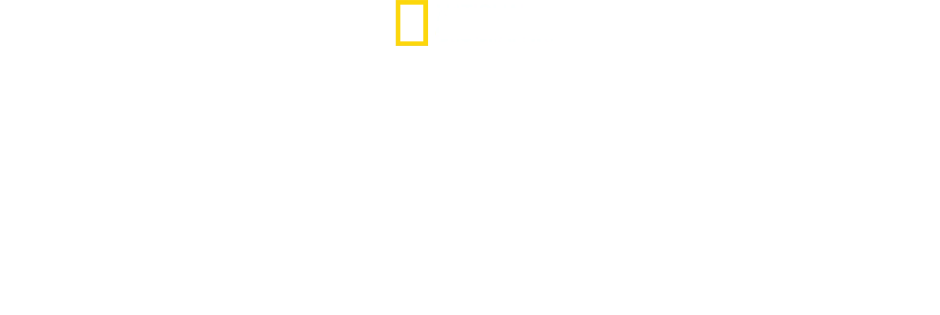 El edén del tiburón