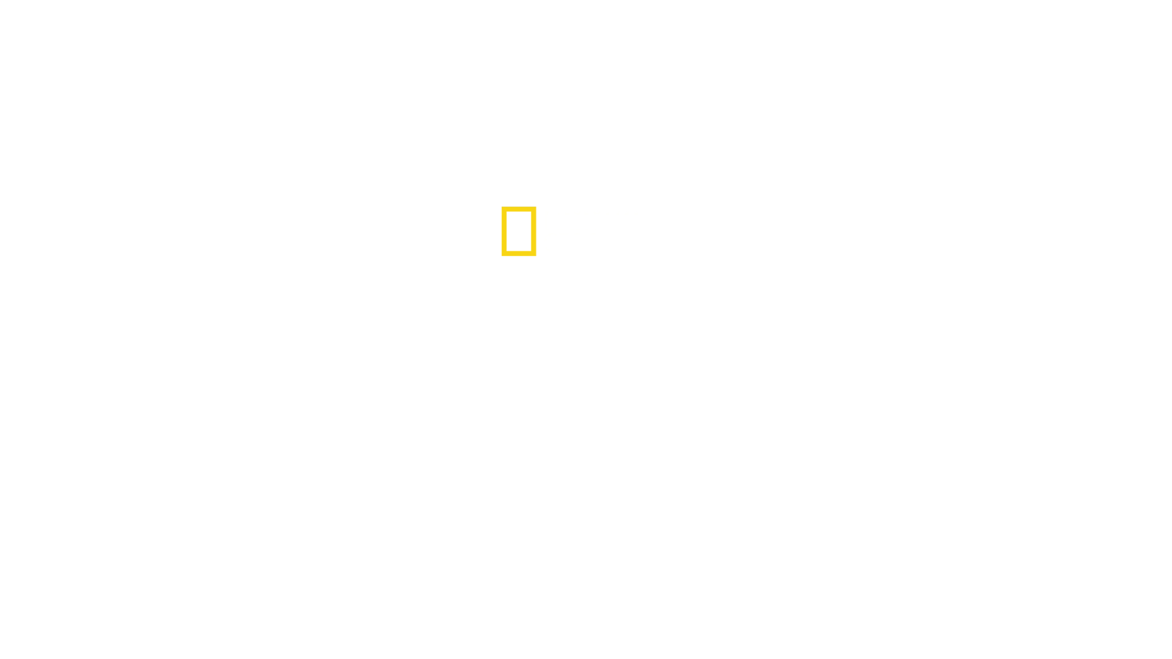 Ταξίδι στην Εδέμ των Καρχαριών