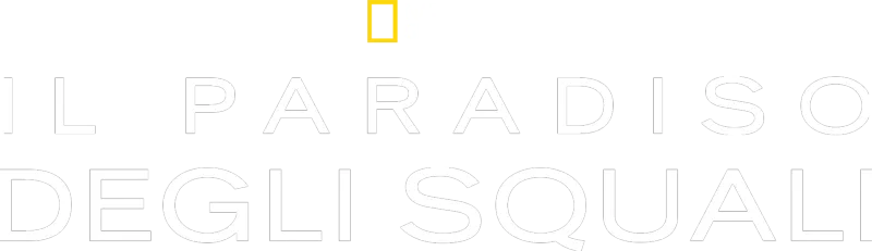 Il paradiso degli squali