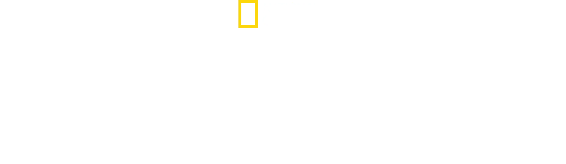Il paradiso degli squali