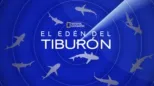 thumbnail - El edén del tiburón