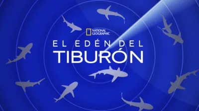 El edén del tiburón