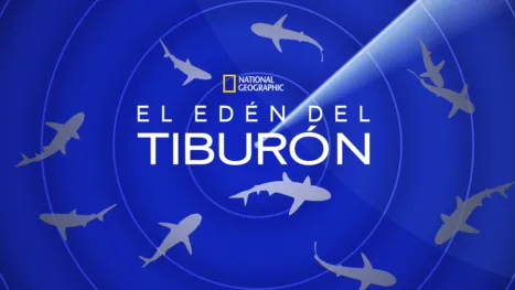 thumbnail - El edén del tiburón