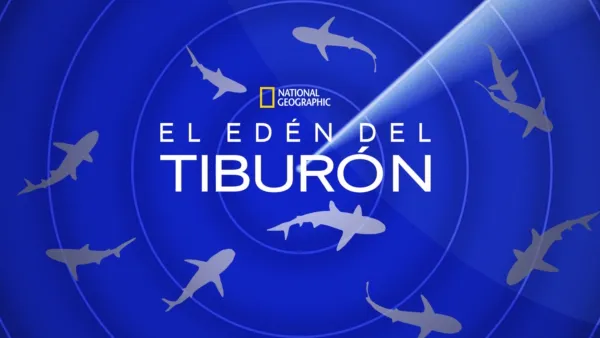 thumbnail - El edén del tiburón