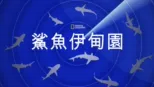 thumbnail - 鯊魚伊甸園