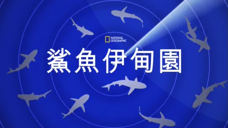 thumbnail - 鯊魚伊甸園