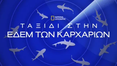 Ταξίδι στην Εδέμ των Καρχαριών