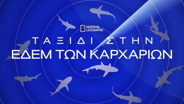 thumbnail - Ταξίδι στην Εδέμ των Καρχαριών