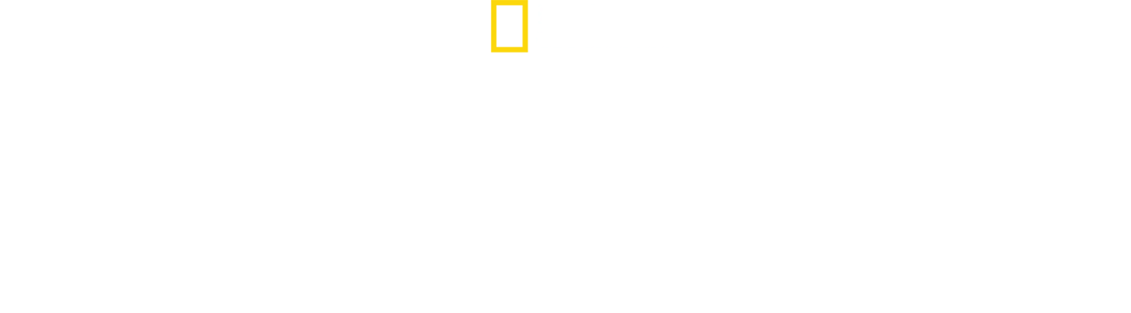 鲨鱼伊甸园
