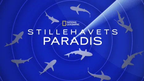 thumbnail - Stillehavets paradis