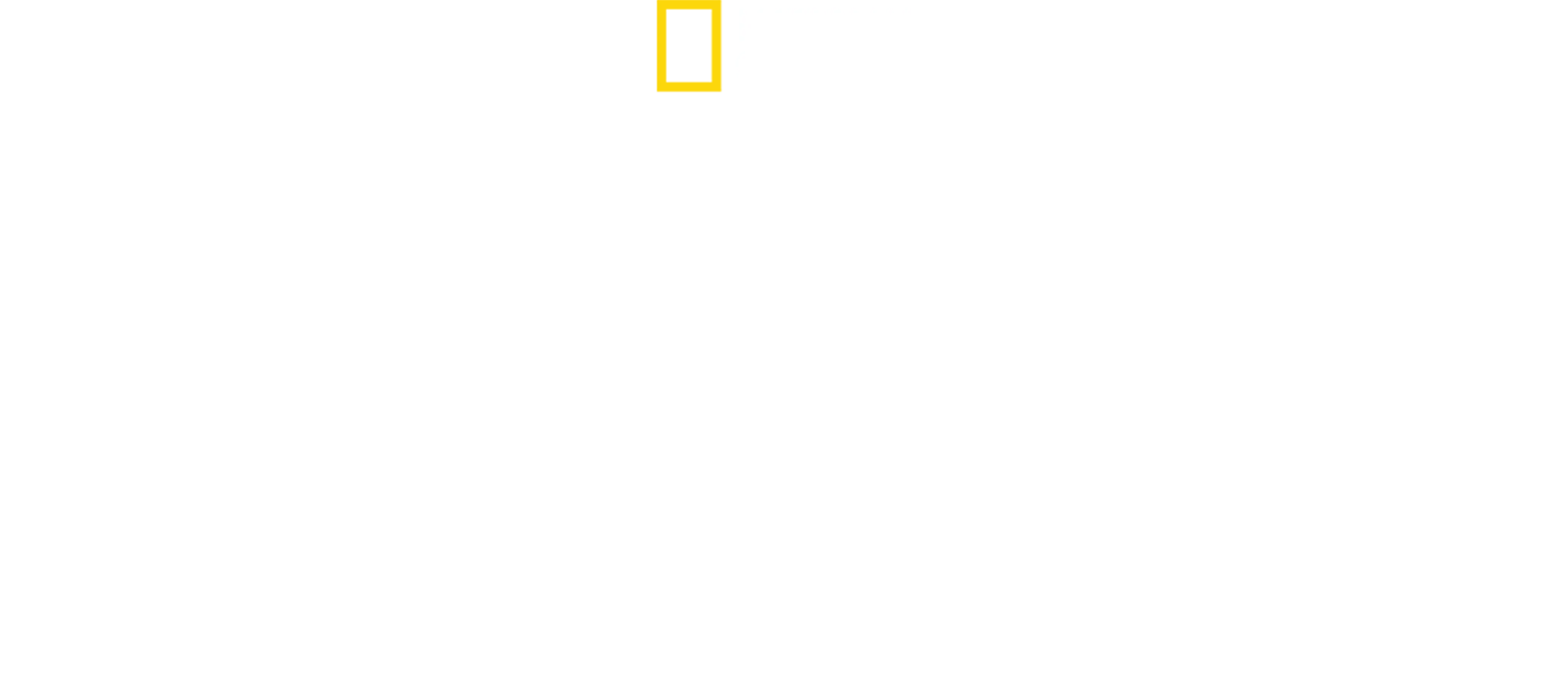 サメと珊瑚のパラダイス