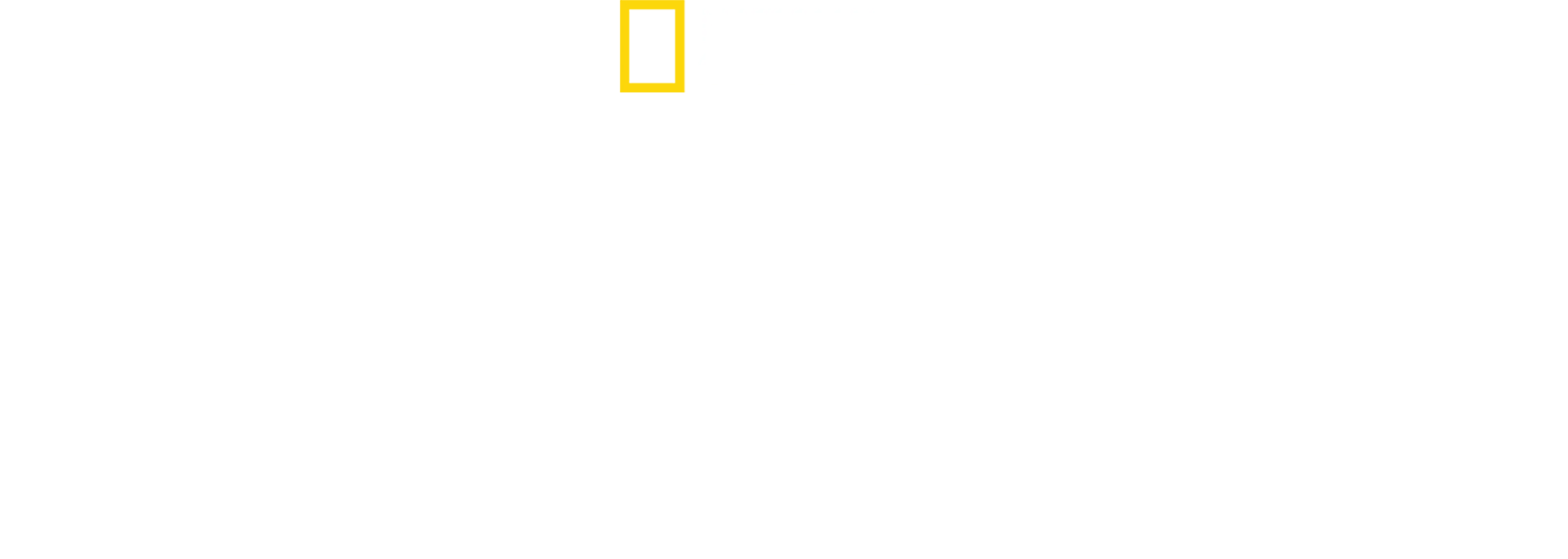 Raj rekinów
