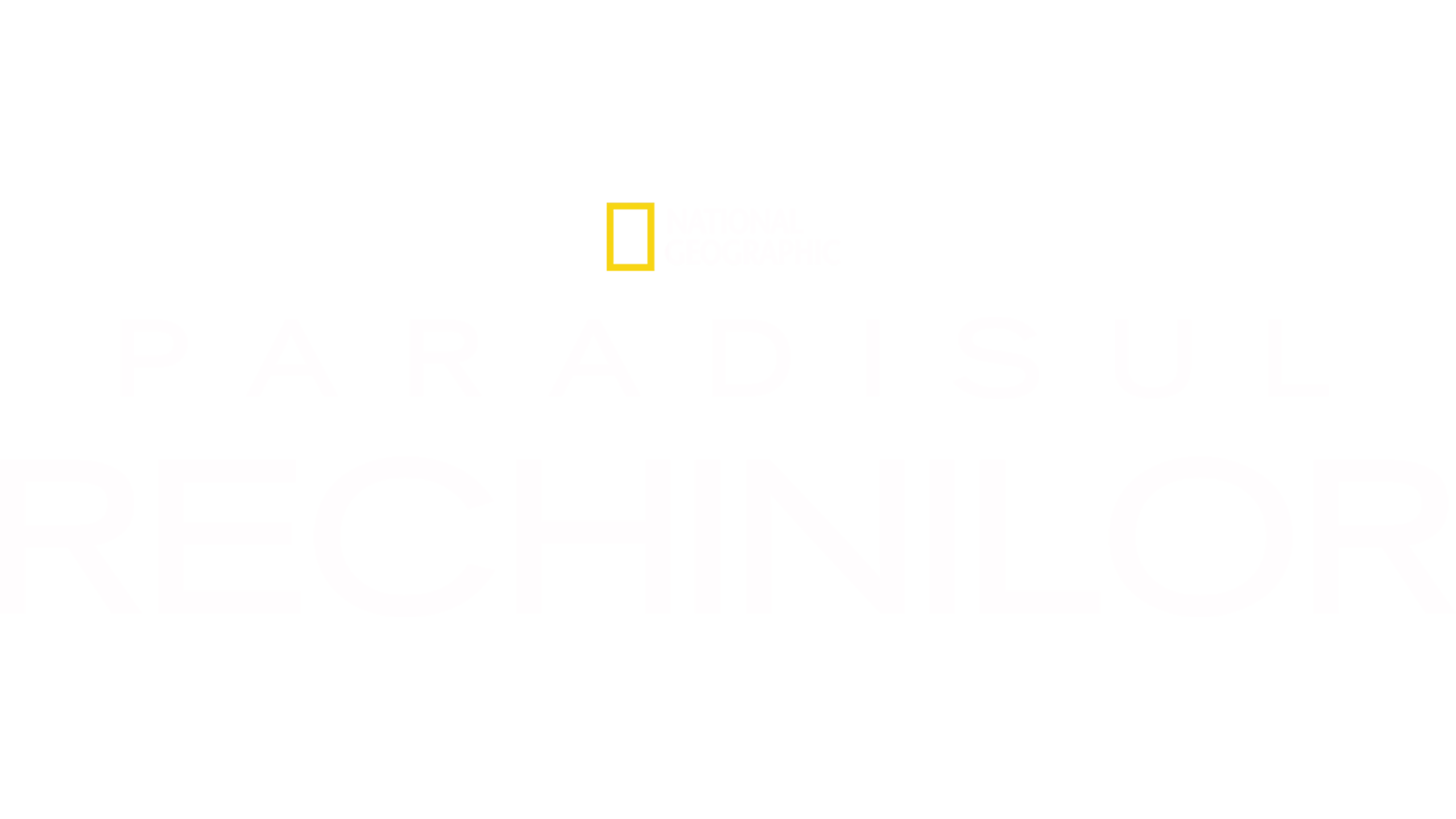 Paradisul rechinilor