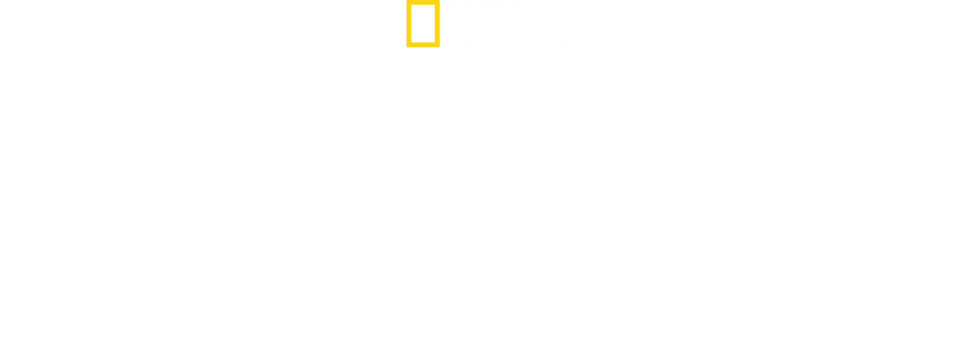 Paraíso Tiburón